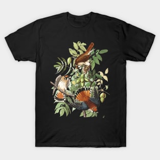 John James Audubons American Sparrow Hawk T-Shirt